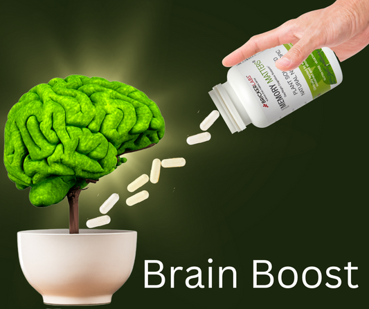 Spearmint Extract - rich in polyphenols antioxidant for brain health