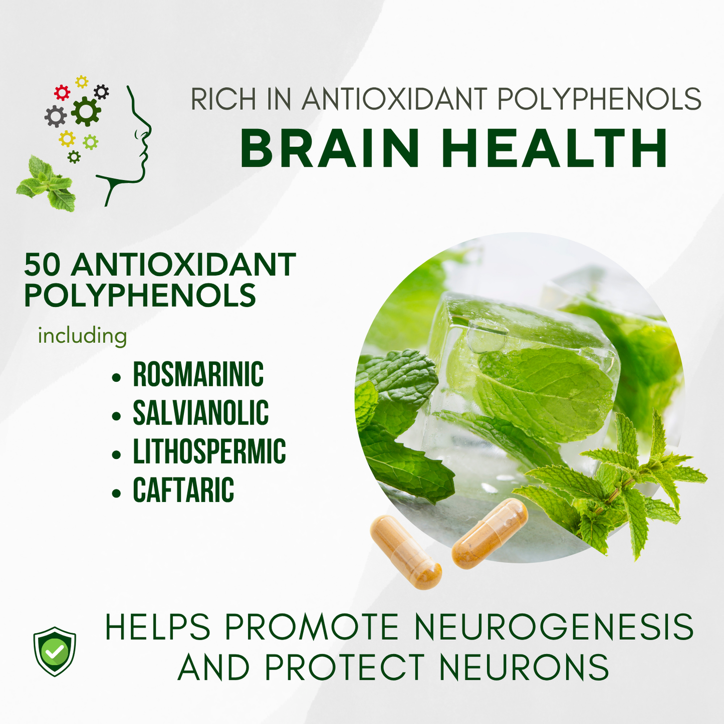 Brain Aid™ Memory Matters with Neumentix Brain Health Supplement