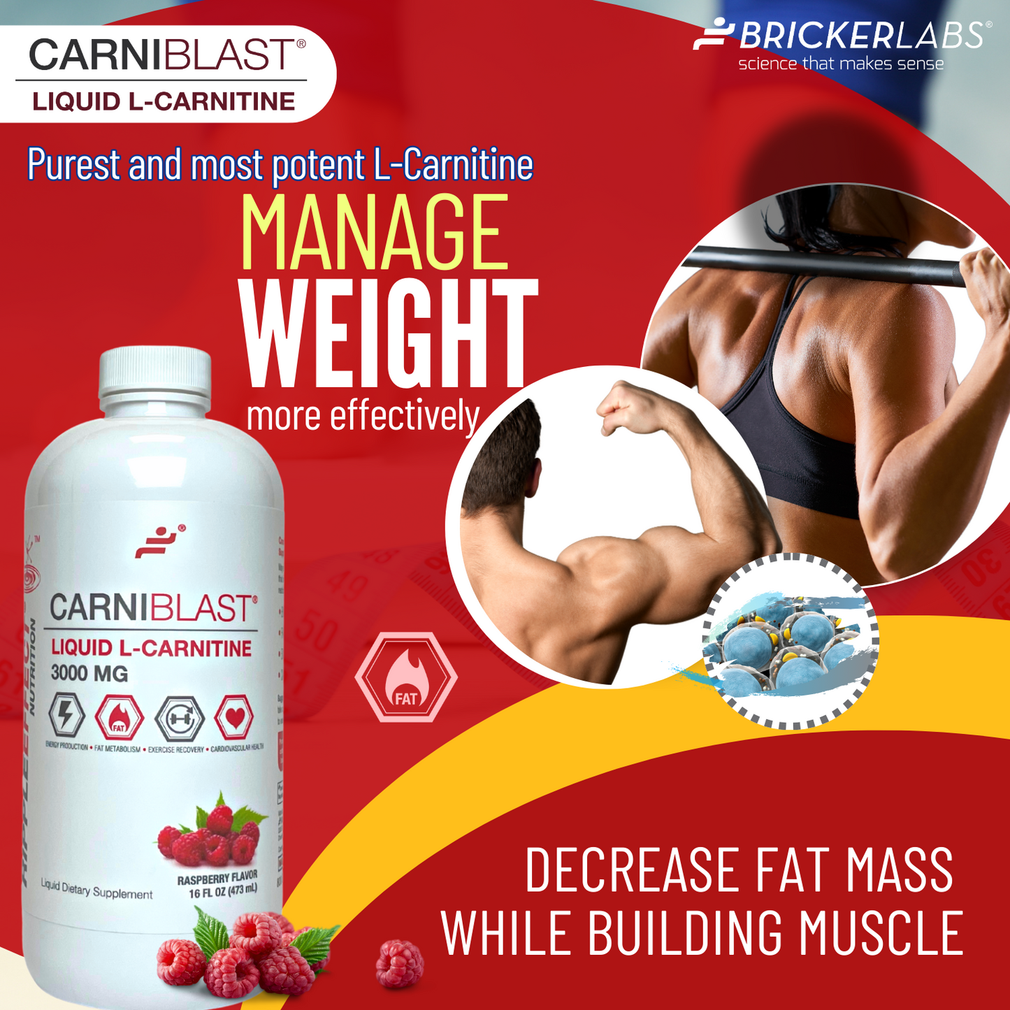 CarniBlast®  Liquid L-Carnitine 3000mg Energy Supplement