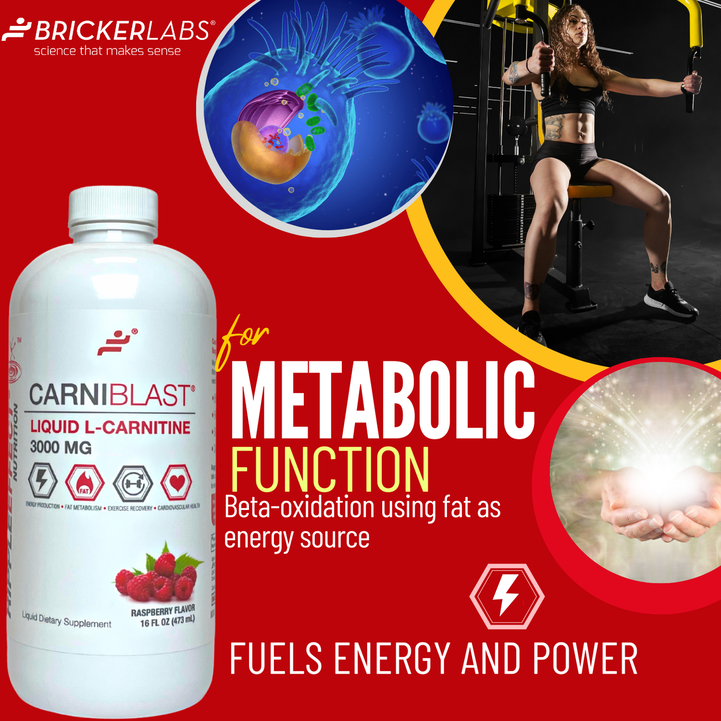 CarniBlast®  Liquid L-Carnitine 3000mg Energy Supplement