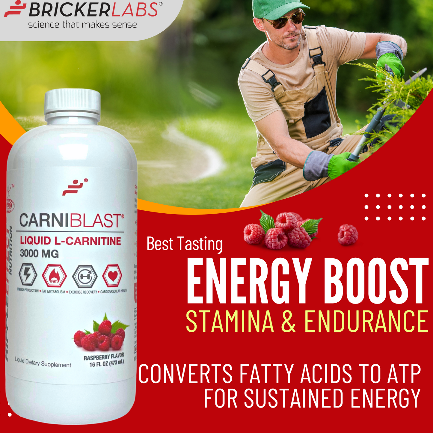 CarniBlast®  Liquid L-Carnitine 3000mg Energy Supplement