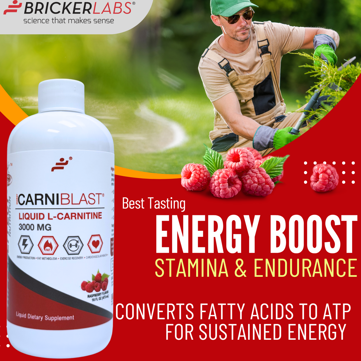 CarniBlast® Liquid L-Carnitine 3000mg Energy Supplement