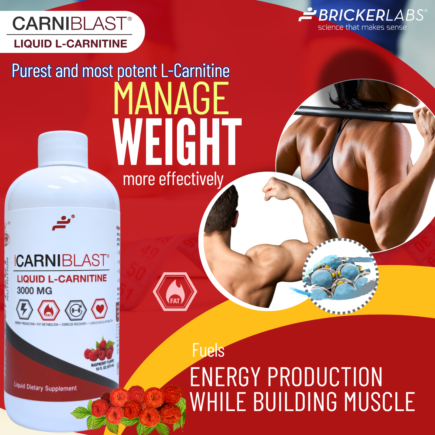 CarniBlast® Liquid L-Carnitine 3000mg Energy Supplement