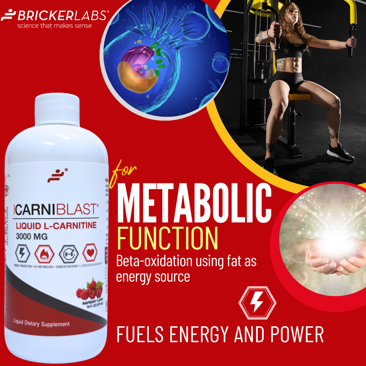 CarniBlast® Liquid L-Carnitine 3000mg Energy Supplement