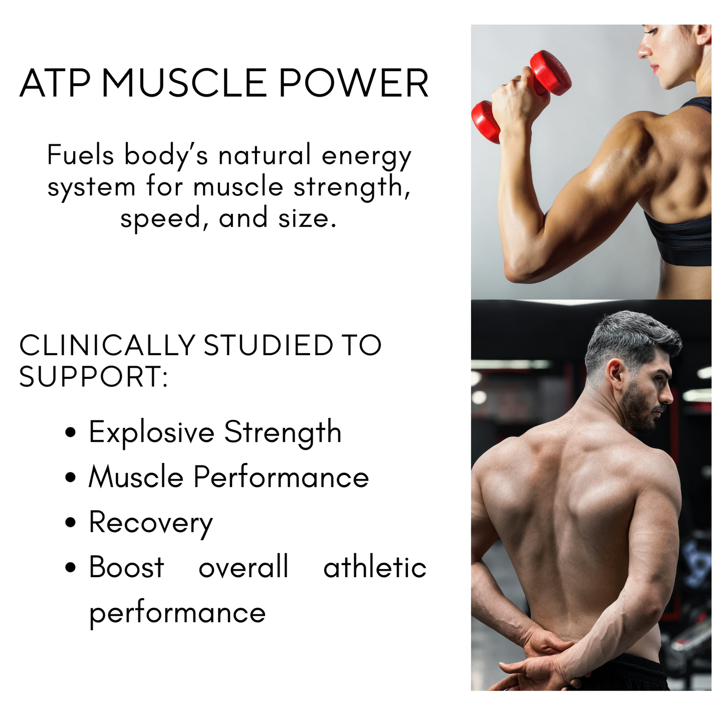 Creatine Monohydrate Powder – 5g per serving