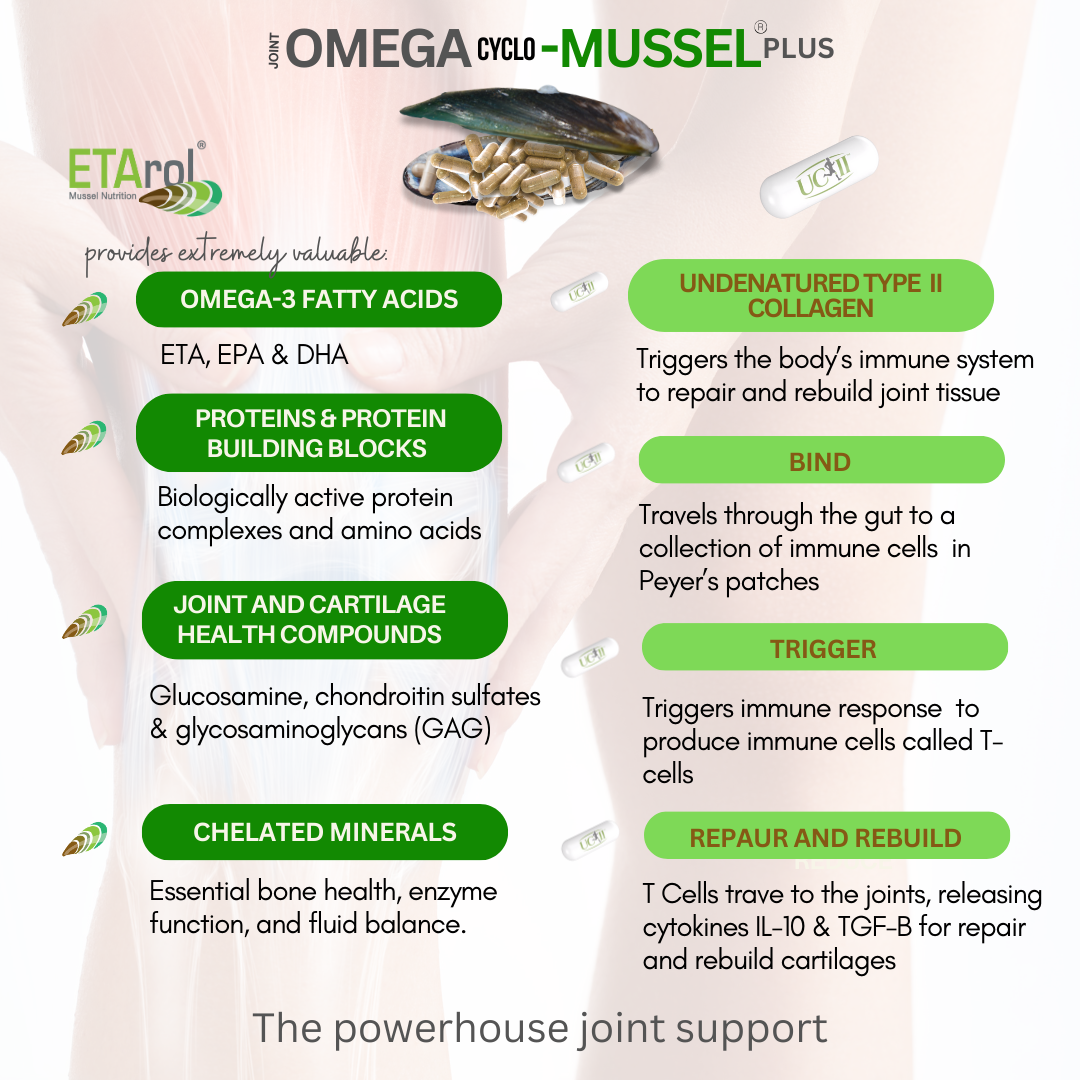 Omega Cyclo-Mussel Plus™ | Premium NZ Green Lipped Mussel plus UC-II 90ct