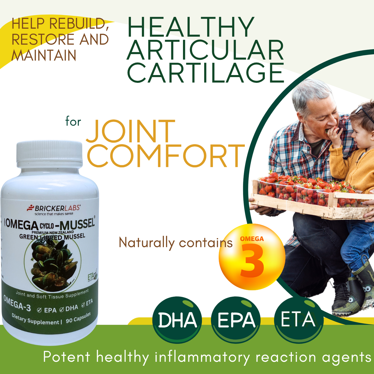Omega Cyclo - Mussel │Premium New Zealand Green Lipped Mussel Joint Health Supplement