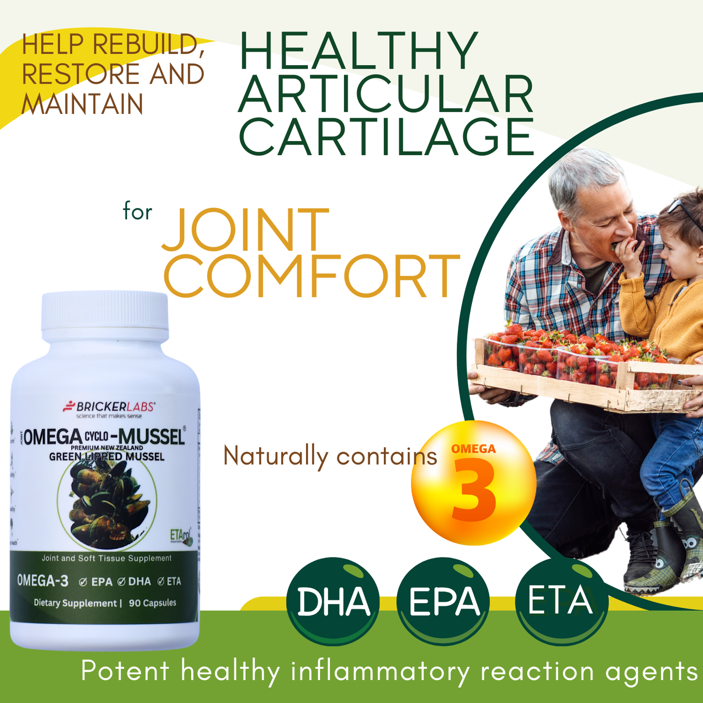 Omega Cyclo - Mussel │Premium New Zealand Green Lipped Mussel Joint Health Supplement