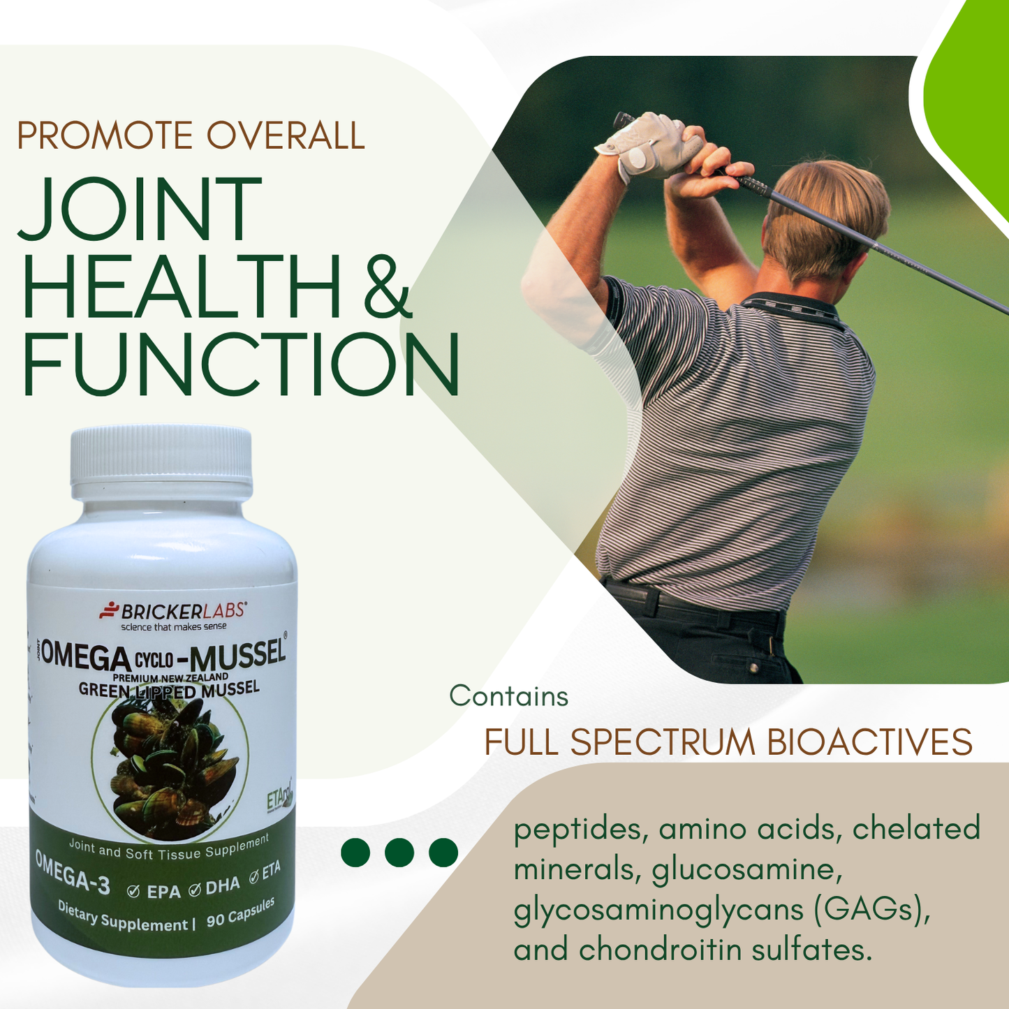 Omega Cyclo - Mussel │Premium New Zealand Green Lipped Mussel Joint Health Supplement