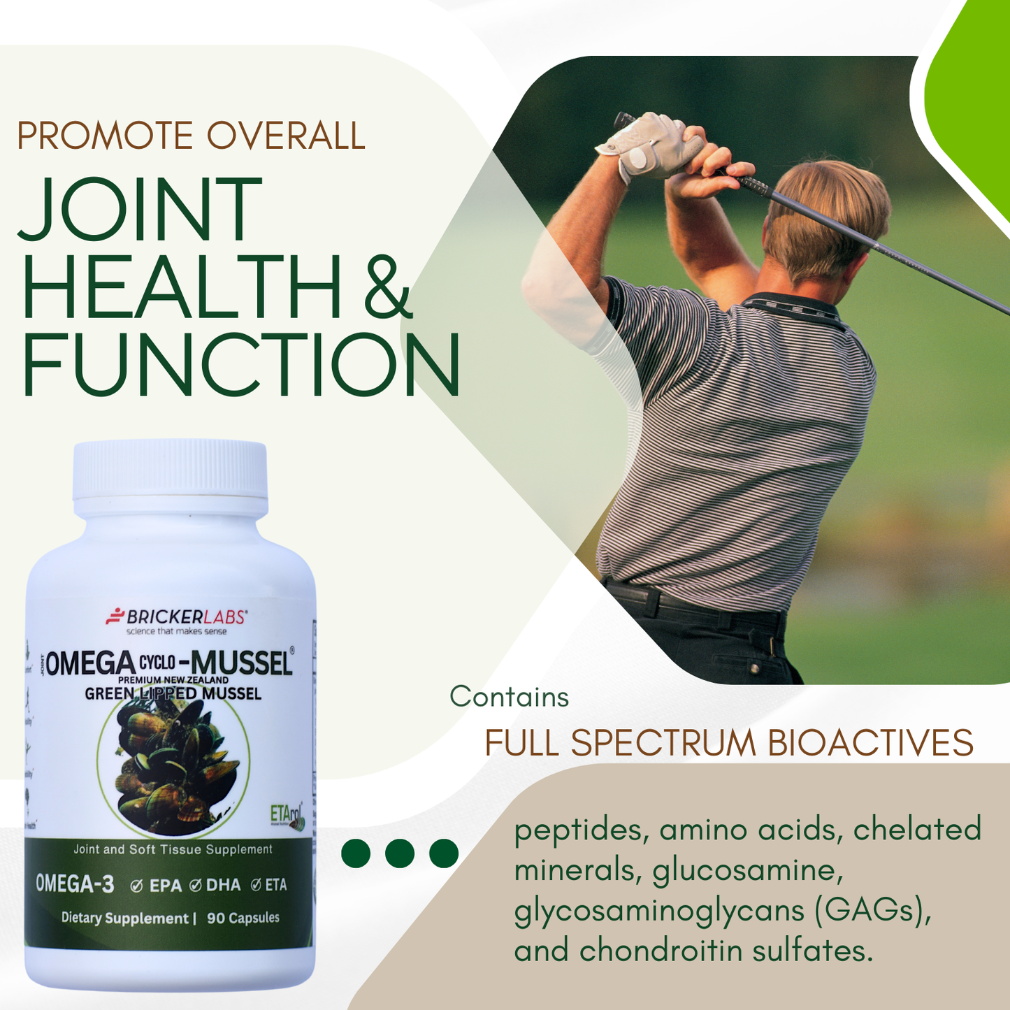 Omega Cyclo - Mussel │Premium New Zealand Green Lipped Mussel Joint Health Supplement
