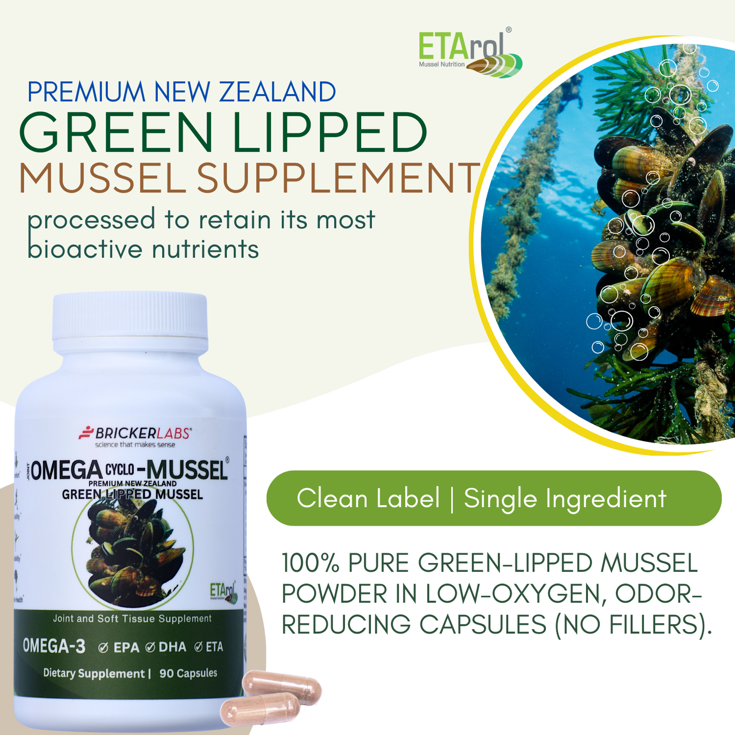 Omega Cyclo - Mussel │Premium New Zealand Green Lipped Mussel Joint Health Supplement