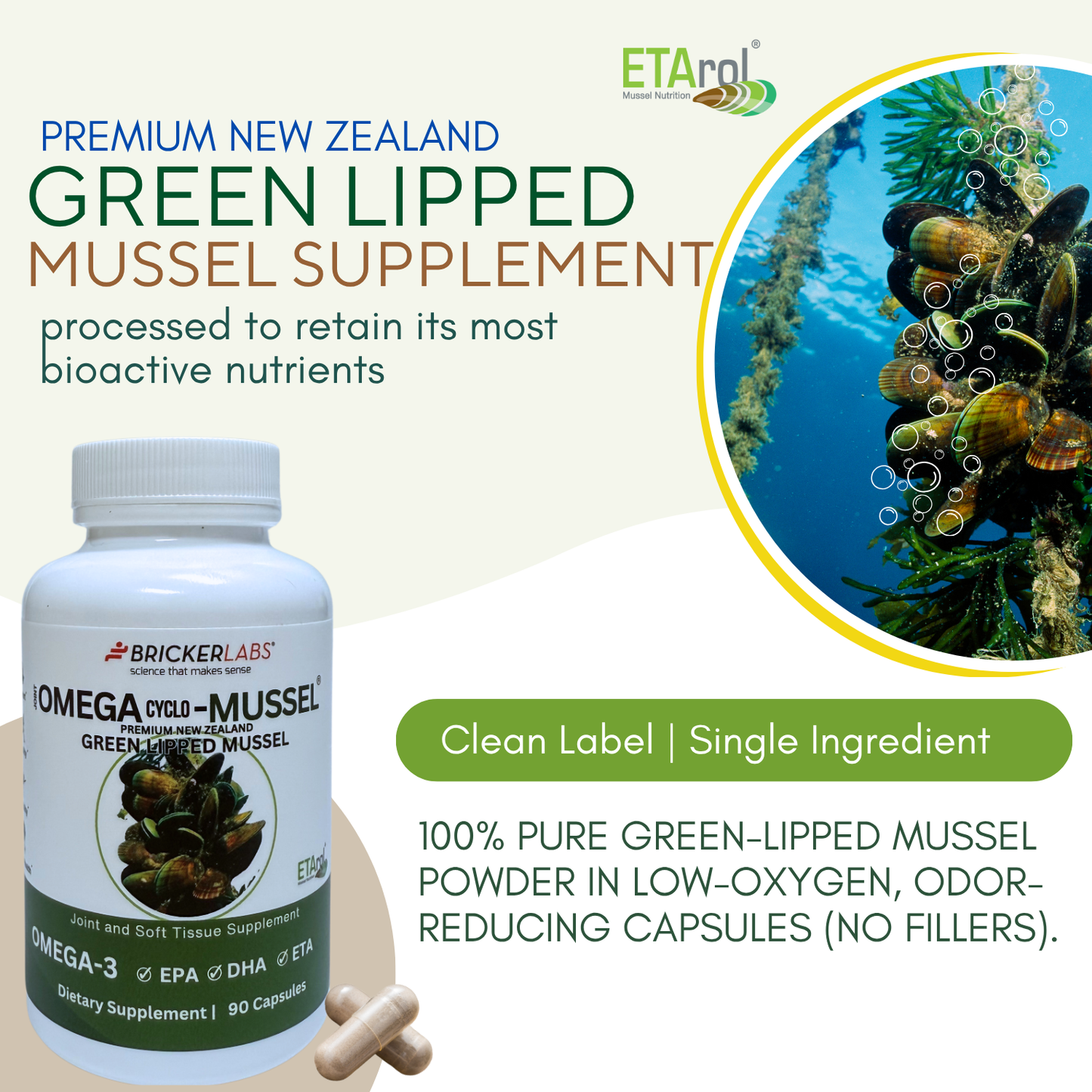 Omega Cyclo - Mussel │Premium New Zealand Green Lipped Mussel Joint Health Supplement