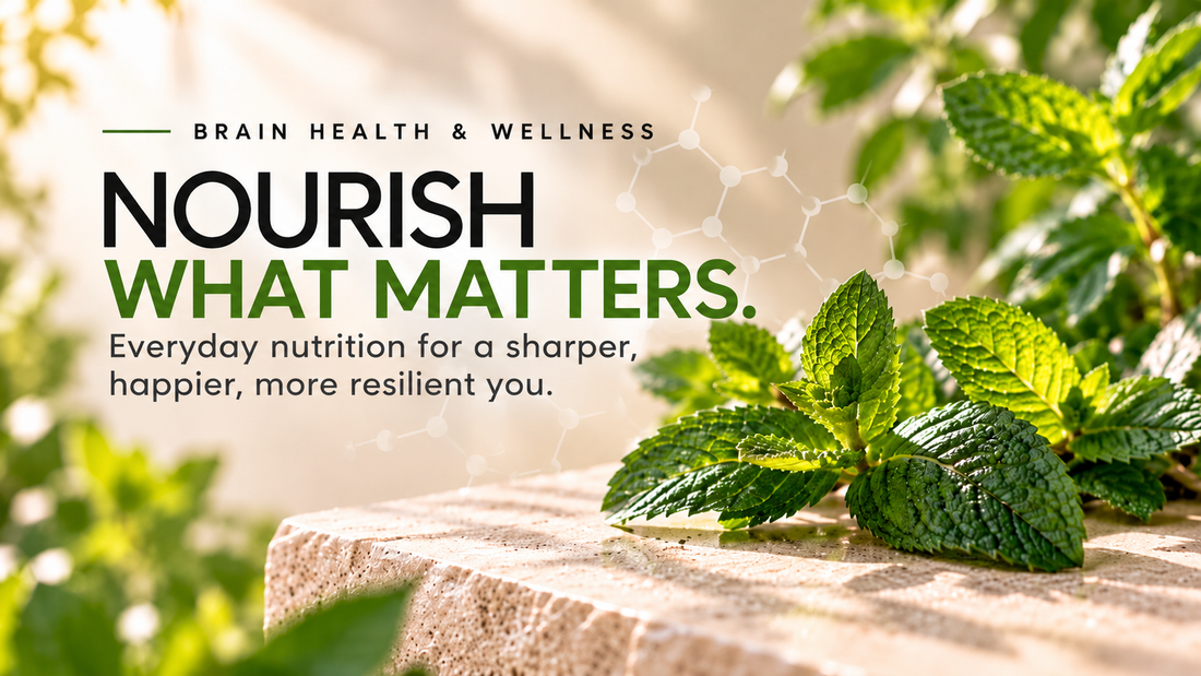 Feed Your Focus: Why Neural Nutrition Is the Next Big Thing in Brain Wellness