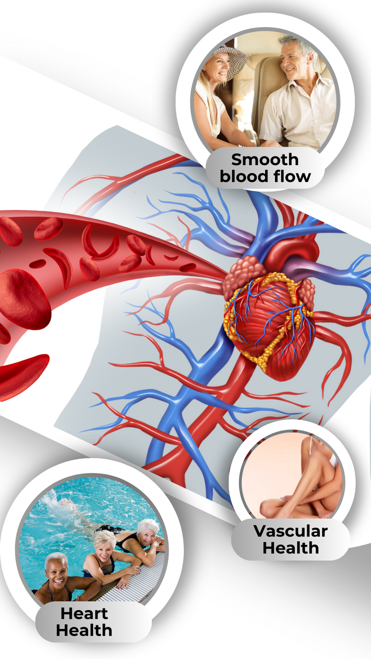 taking l-carnitine during pregnancy l carnitine in pregnancy Role of L-carnitine in female infertility