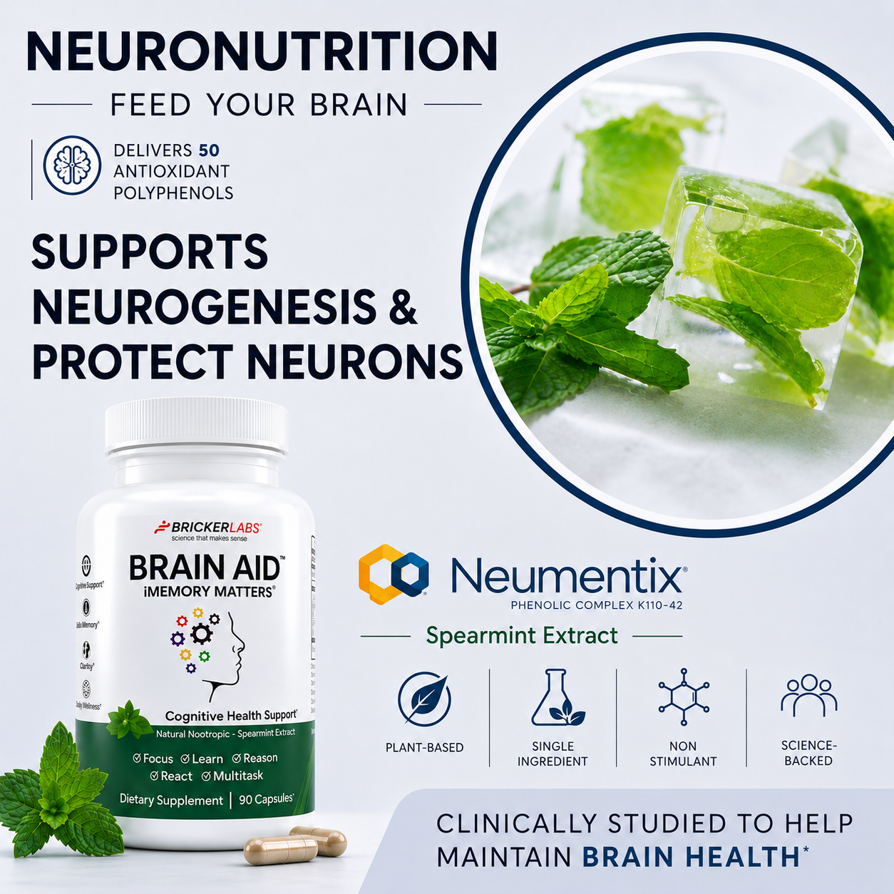 Brain Aid™ Memory Matters with Neumentix Brain Health Supplement