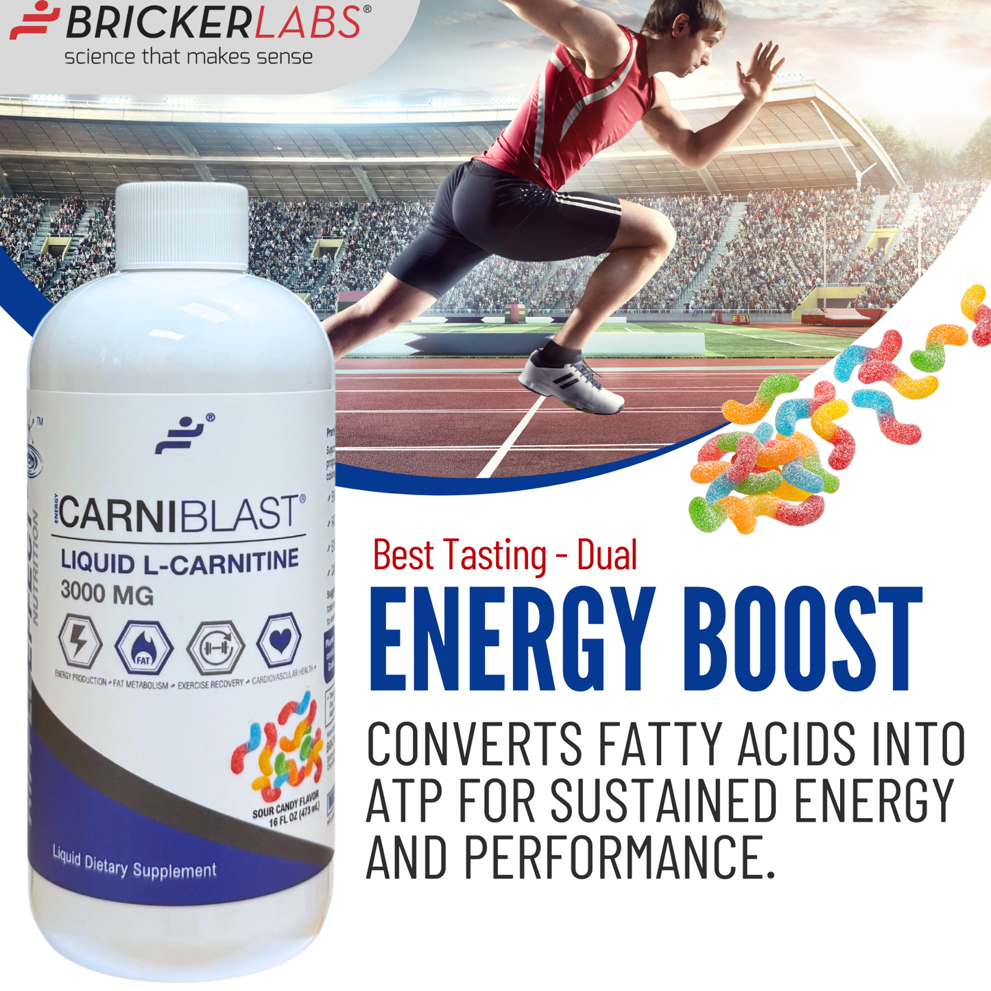 Bricker Labs CARNIBLAST Liquid L-Carnitine 3000mg plus GBB