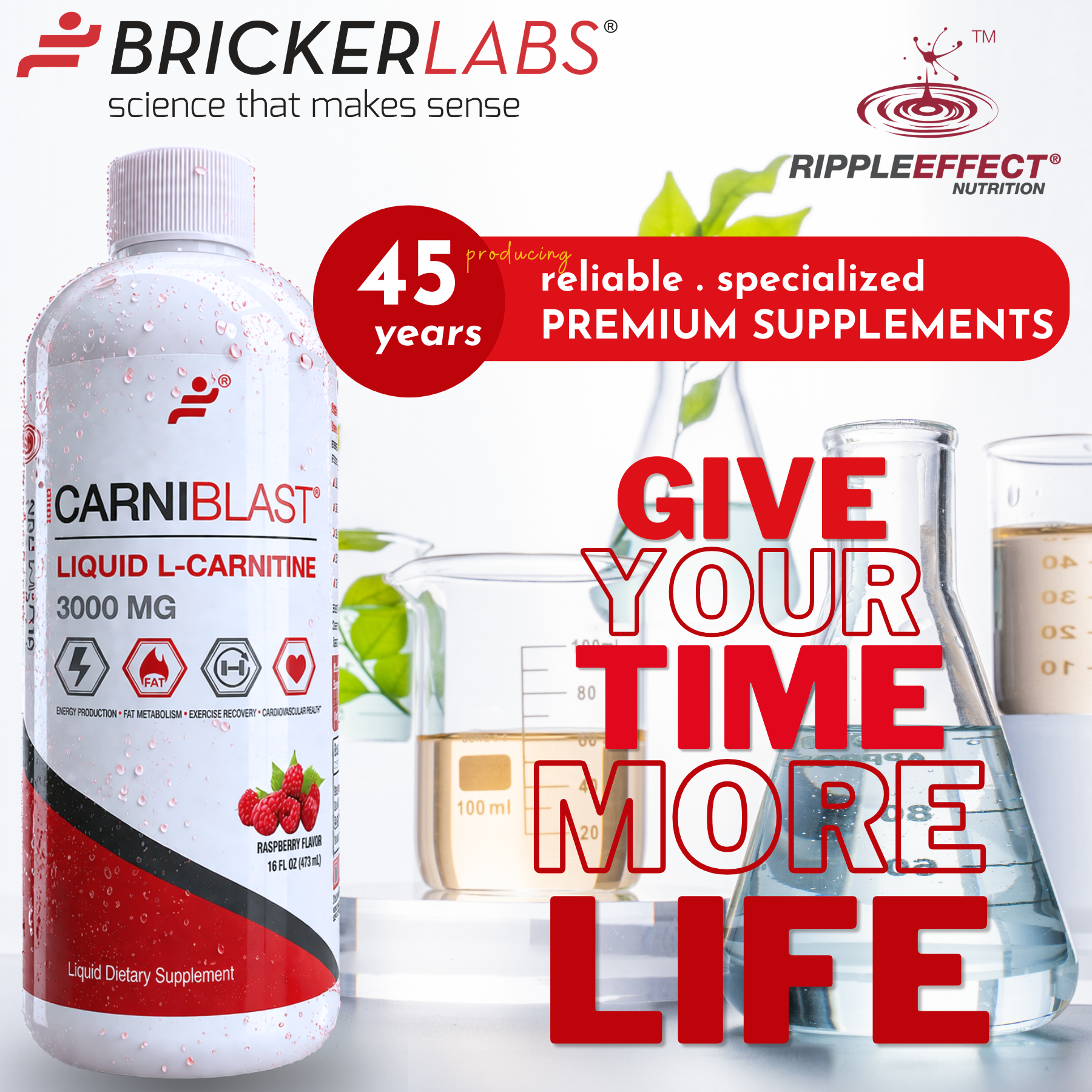 Bricker Labs Carnipure L-Carnitine Raspberry - 3000 mg - 16 fl oz Bricker Labs Carnipure L-Carnitine Raspberry - 3000 mg - 16 fl oz