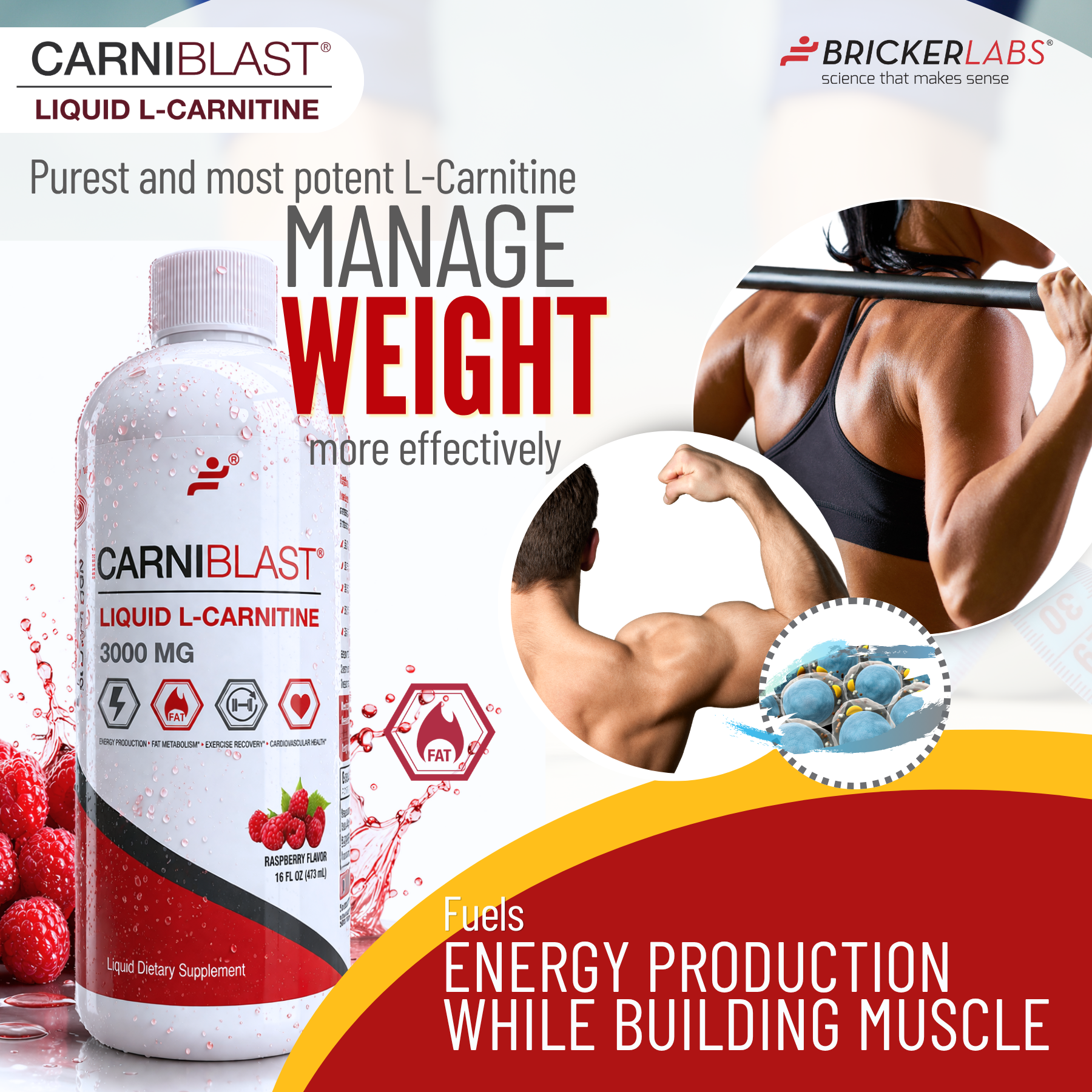 CarniBlast Liquid L-Carnitine 3000mg Energy Supplement Bricker Labs CarniBlast Liquid L-Carnitine 3000mg Energy Supplement Bricker Labs
