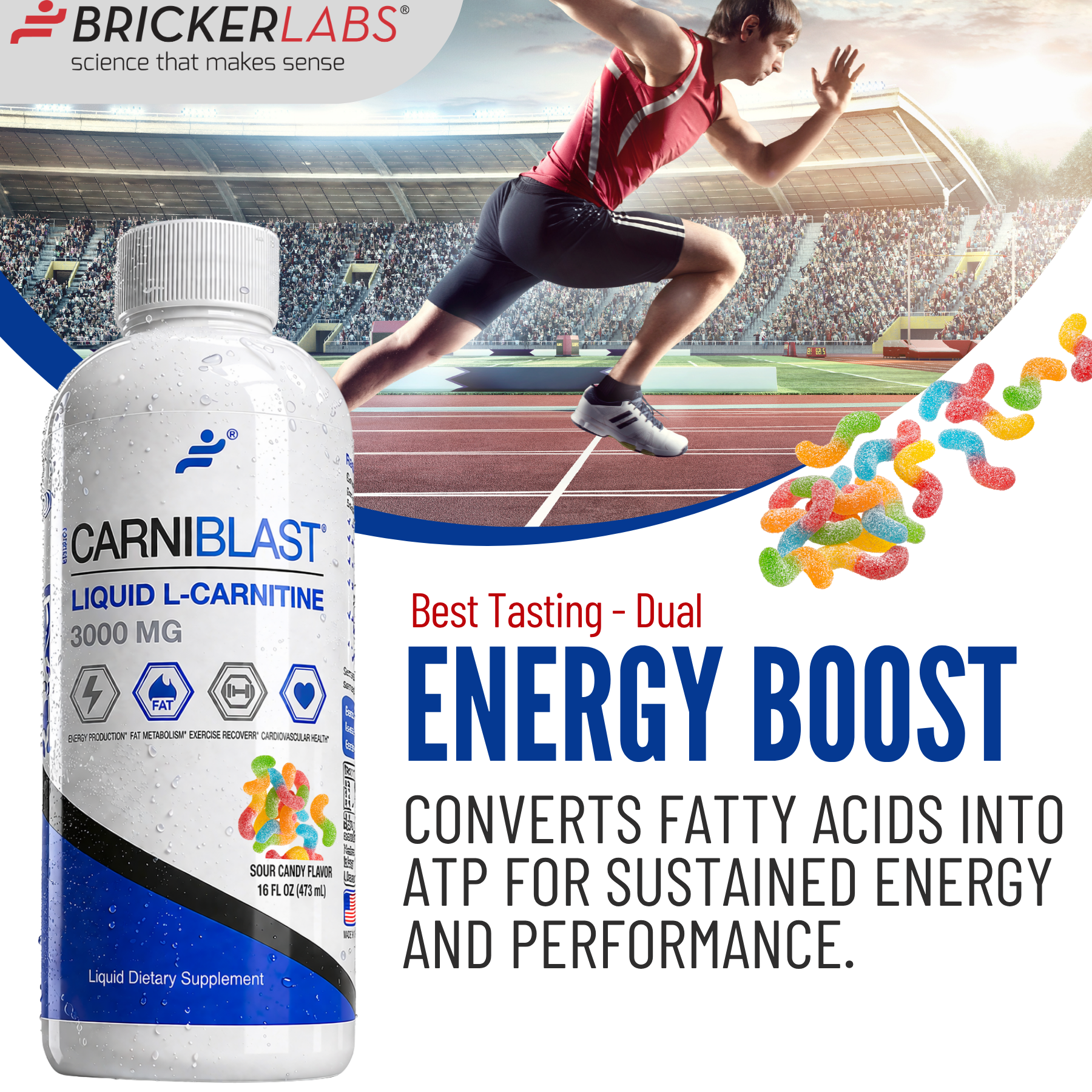 Bricker Labs Carniblast Liquid L-Carnitine 3000mg plus GBB Bricker Labs Carniblast Liquid L-Carnitine 3000mg plus GBB