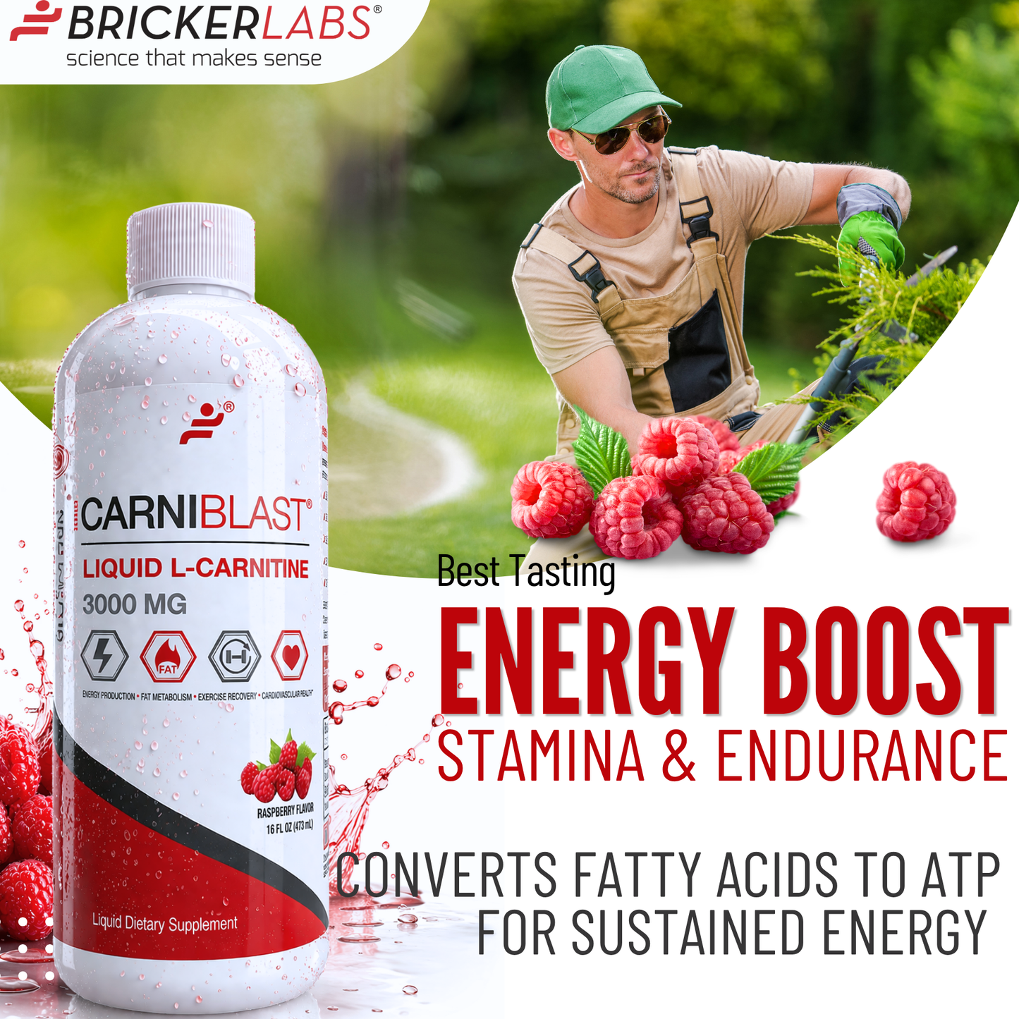 CarniBlast Liquid L-Carnitine 3000mg Energy Supplement Bricker Labs CarniBlast Liquid L-Carnitine 3000mg Energy Supplement Bricker Labs