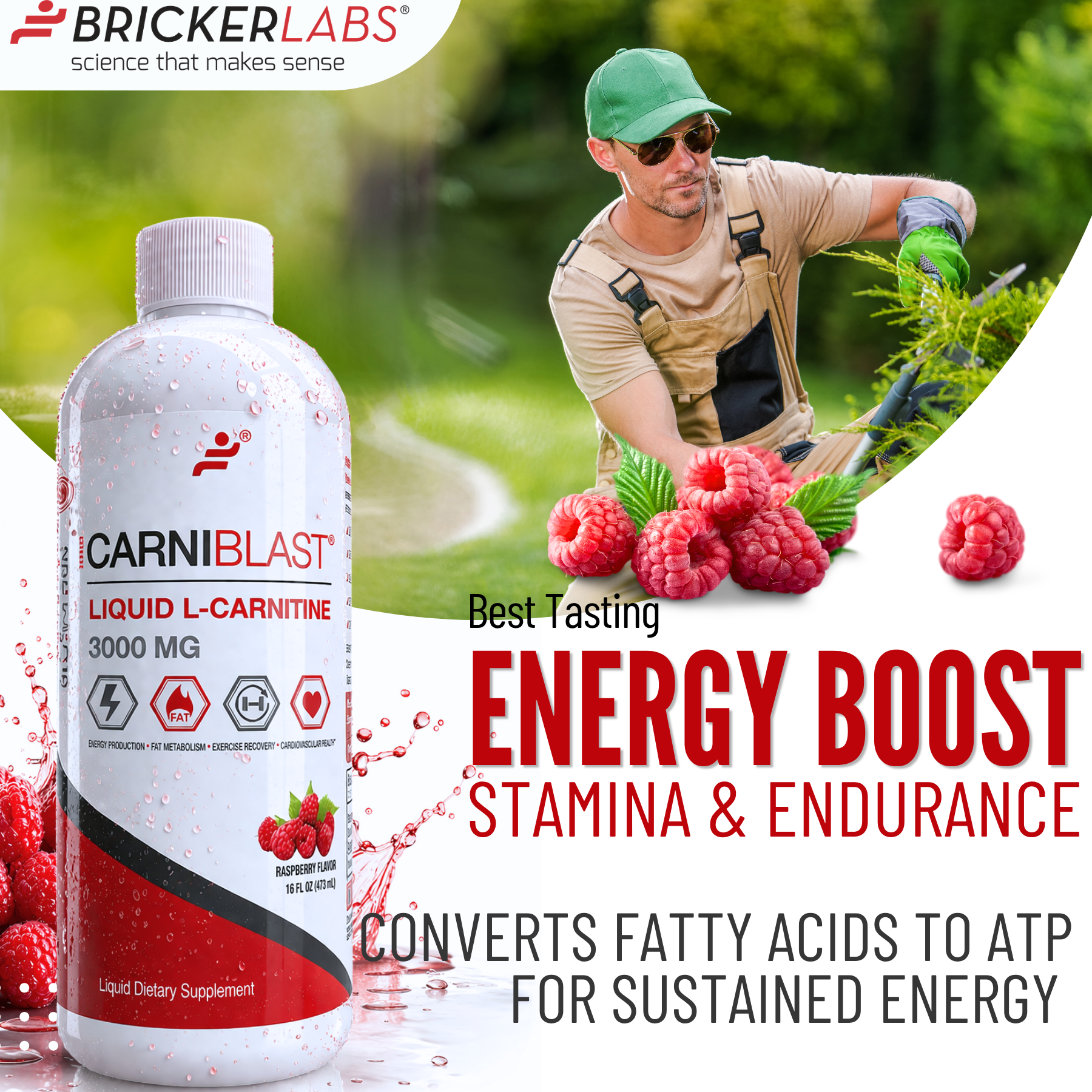 CarniBlast Liquid L-Carnitine 3000mg Energy Supplement Bricker Labs CarniBlast Liquid L-Carnitine 3000mg Energy Supplement Bricker Labs