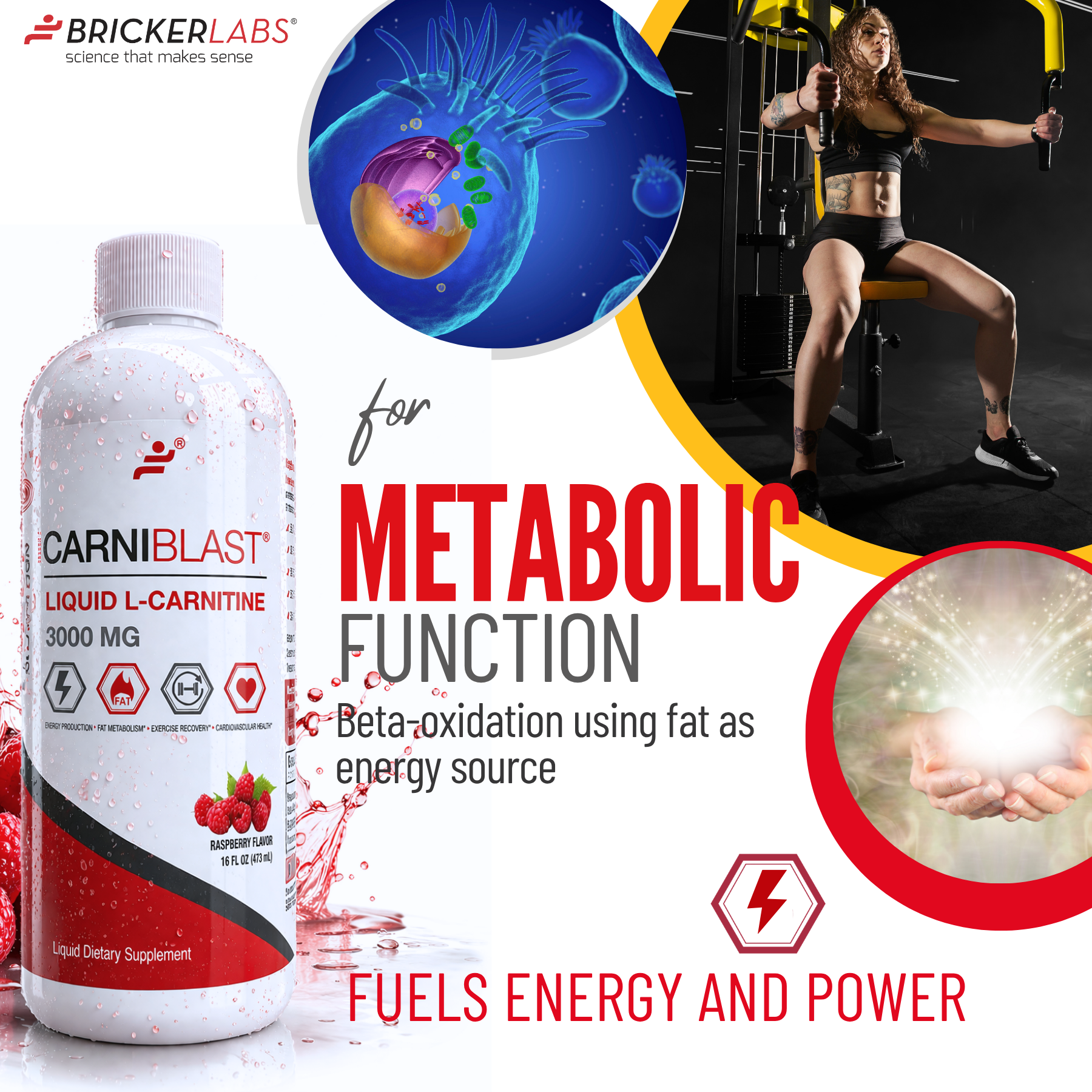 CarniBlast Liquid L-Carnitine 3000mg Energy Supplement Bricker Labs CarniBlast Liquid L-Carnitine 3000mg Energy Supplement Bricker Labs