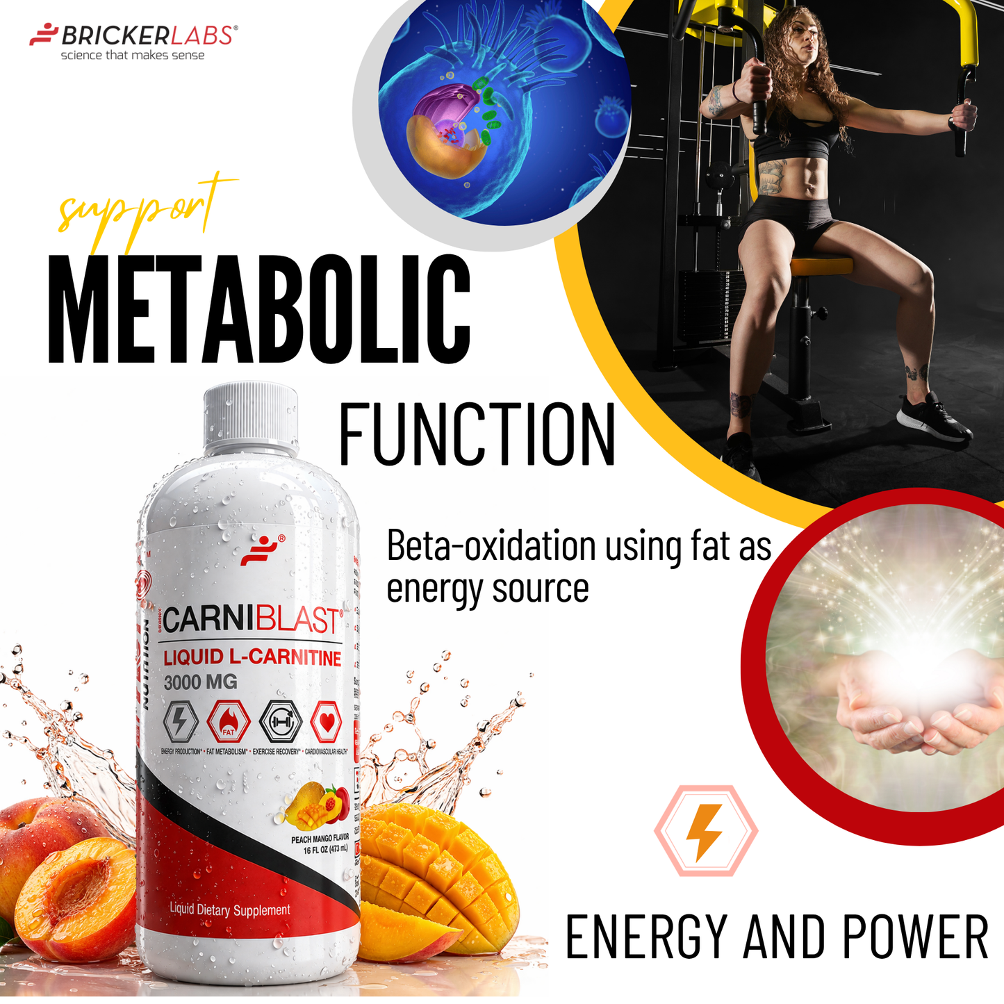 Vital Support - Active Life | Sports Nutrition