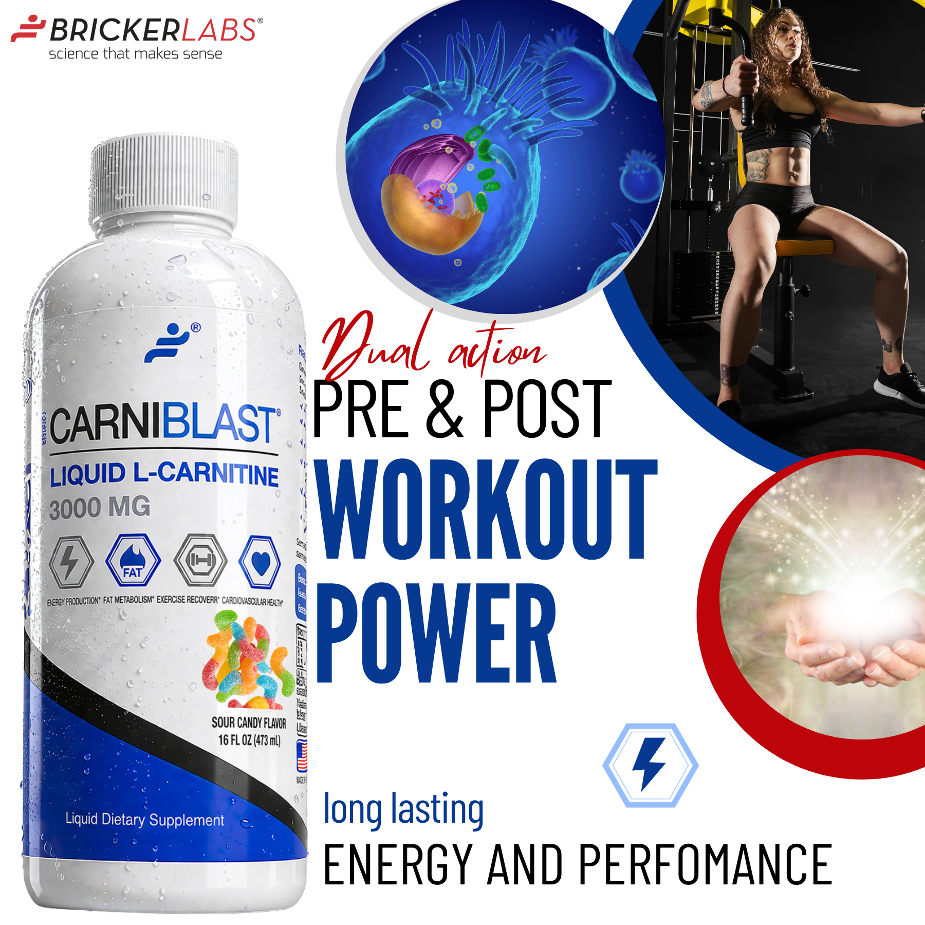 l carnitine pre workout or post workout L-carnitine Pre Post Workout Supplement Tablet at 549.00 INR in Indore main image 0