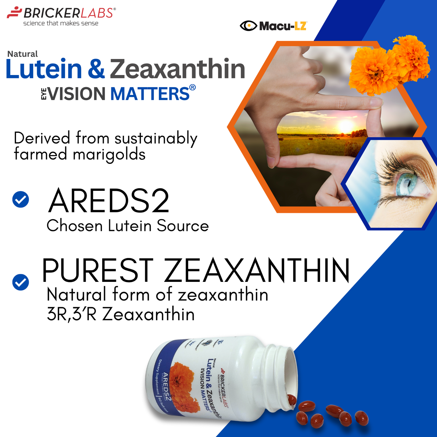 Natural Lutein and Zeaxanthin | Vision Matters