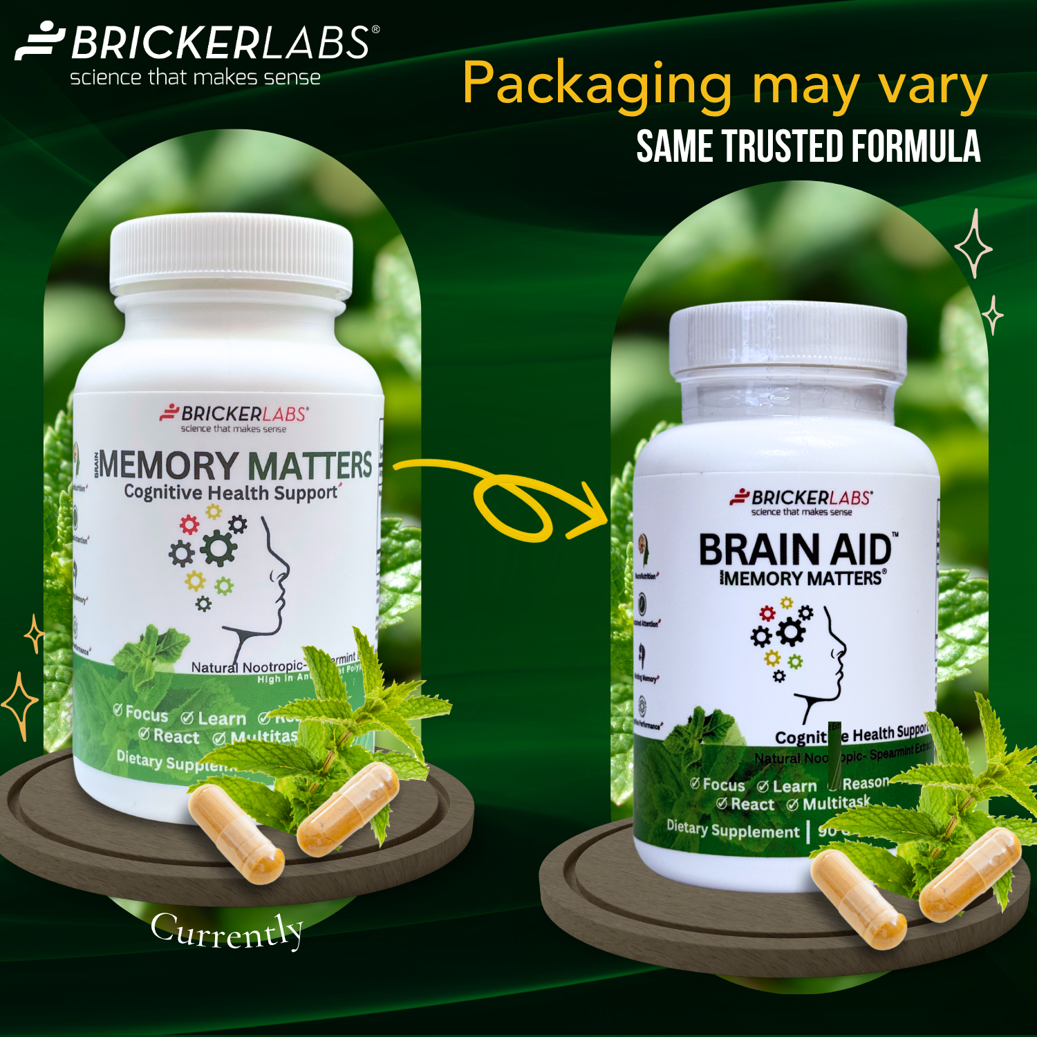 Brain Aid Memory Matters with Neumentix Cognitive Health