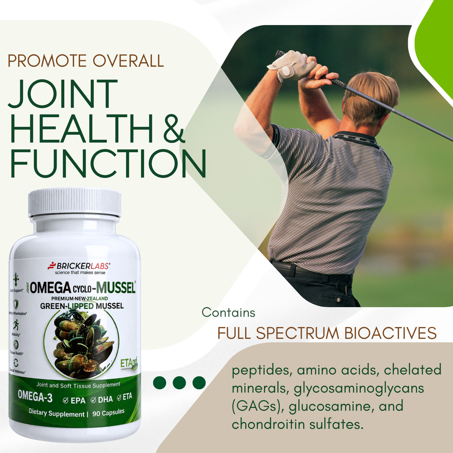 Omega Cyclo - Mussel │Premium New Zealand Green Lipped Mussel Joint Health Supplement