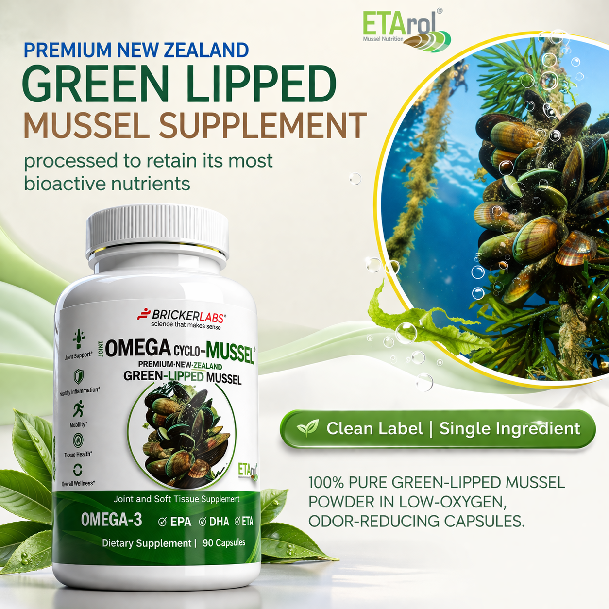 Omega Cyclo - Mussel │Premium New Zealand Green Lipped Mussel Joint Health Supplement