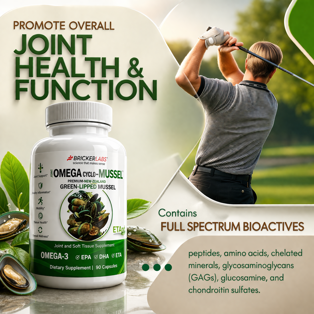 Omega Cyclo - Mussel │Premium New Zealand Green Lipped Mussel Joint Health Supplement