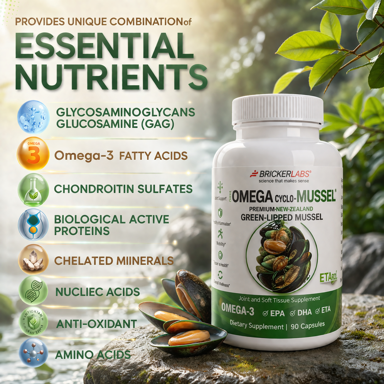 Omega Cyclo - Mussel │Premium New Zealand Green Lipped Mussel Joint Health Supplement