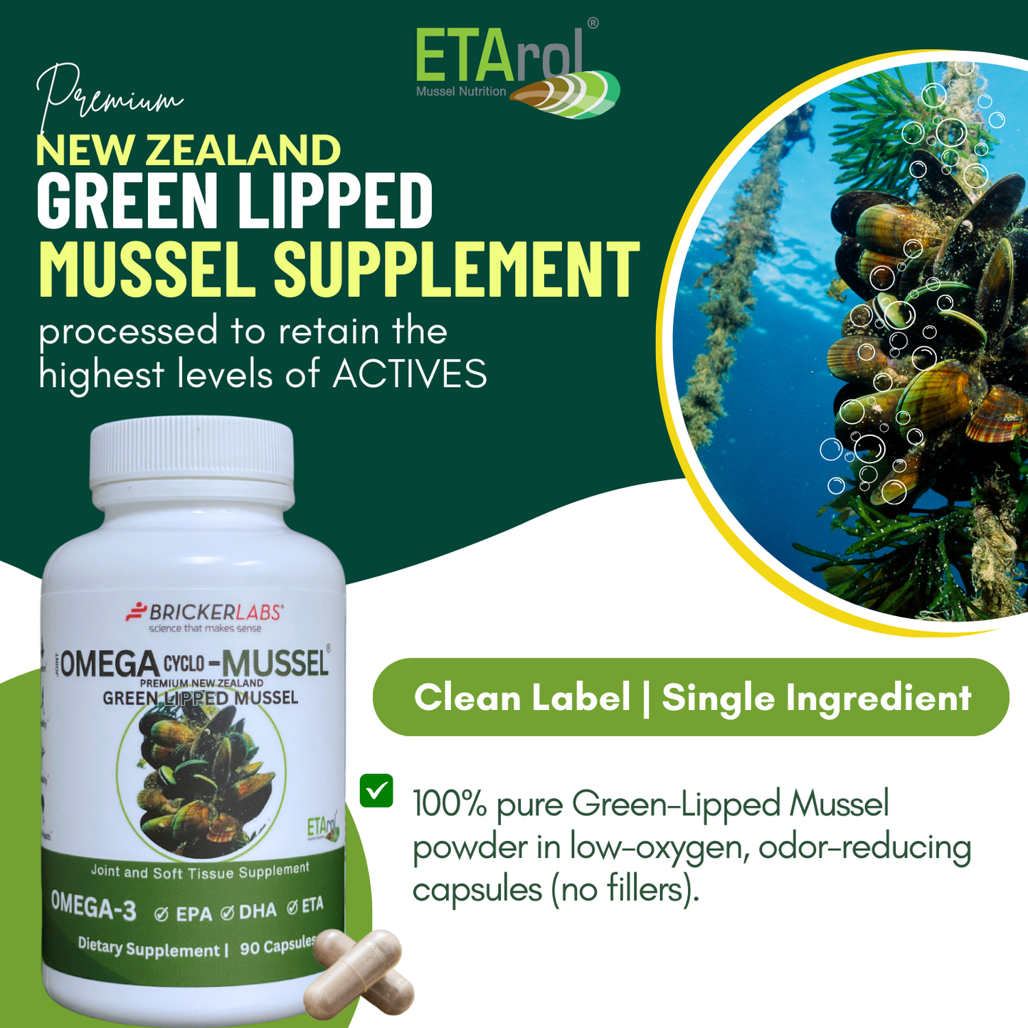 Omega Cyclo - Mussel │Premium New Zealand Green Lipped Mussel Joint Health Supplement