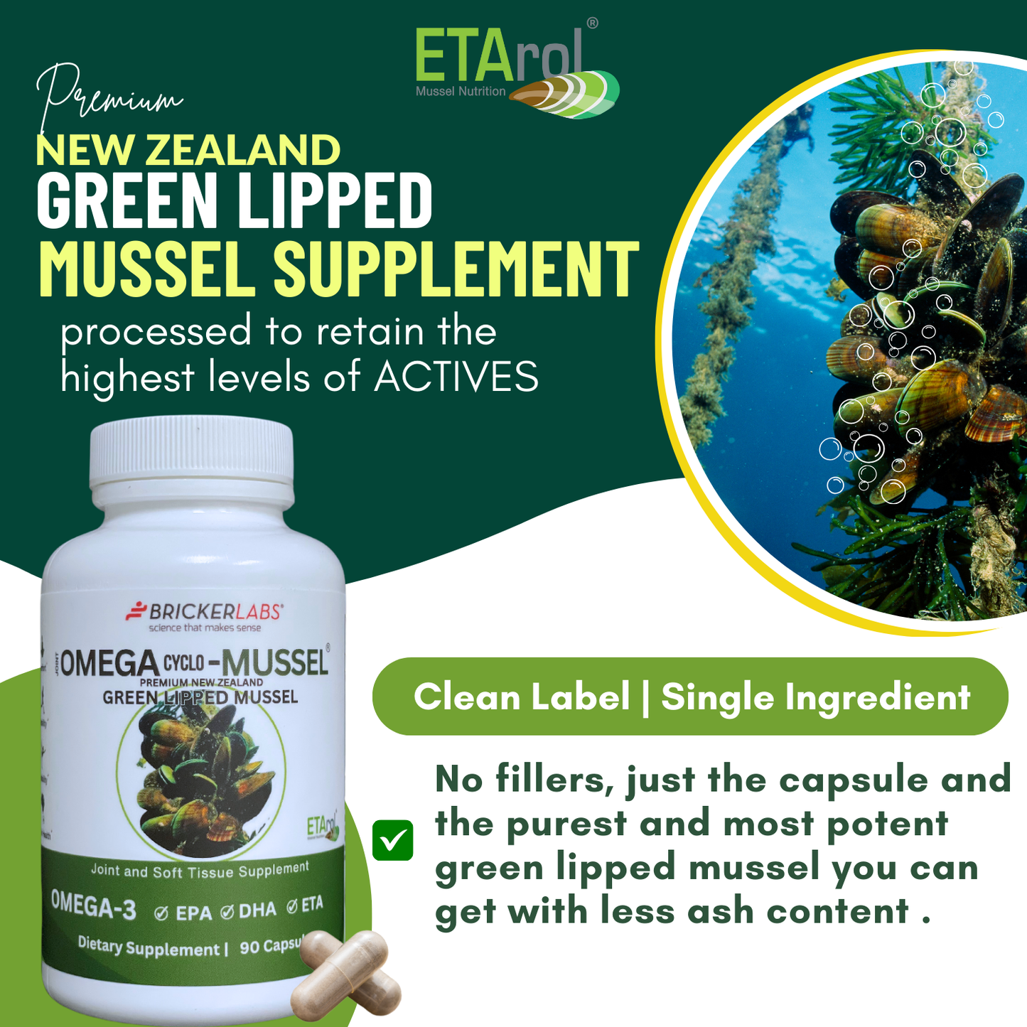 Omega Cyclo - Mussel │Premium New Zealand Green Lipped Mussel Joint Health Supplement