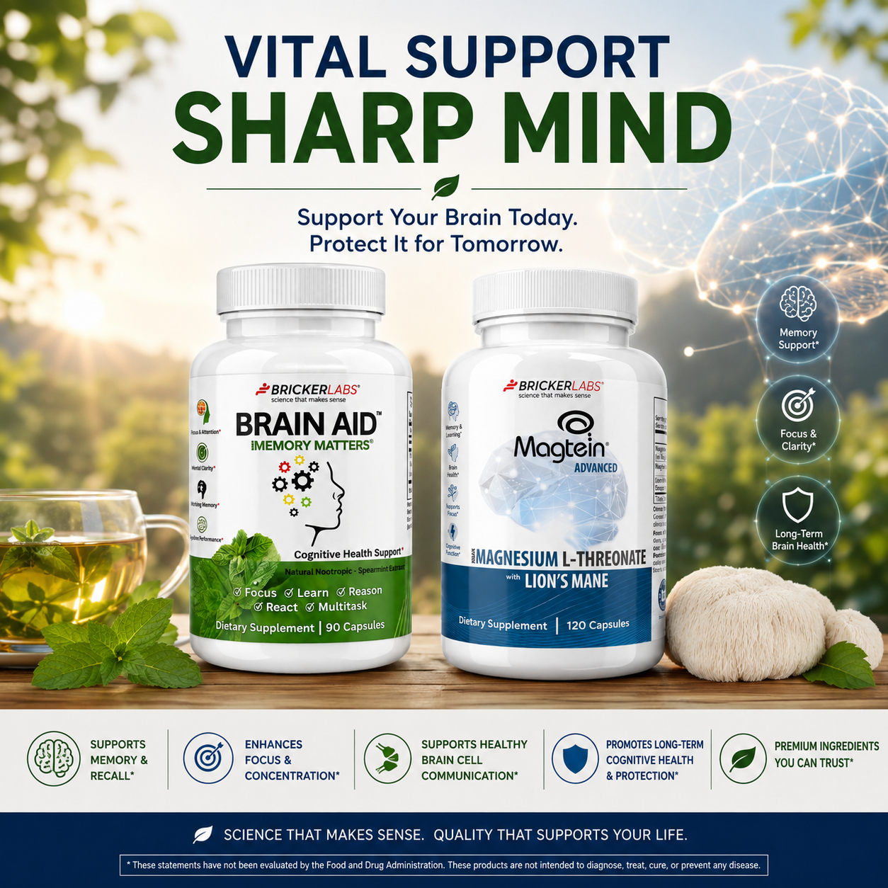 Vital Support - Sharp Mind